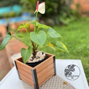 Porta maceta “Equilibrio” – Madera y aluminio para realzar tus espacios.